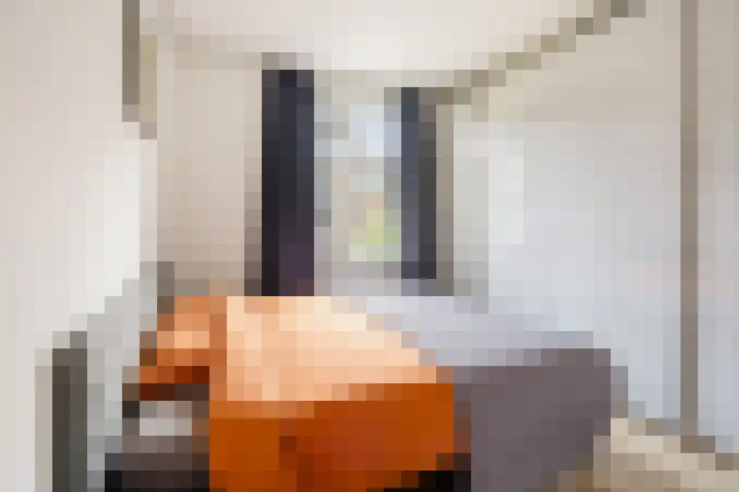 Commelinstraat 358 Amsterdam thumbnail 20