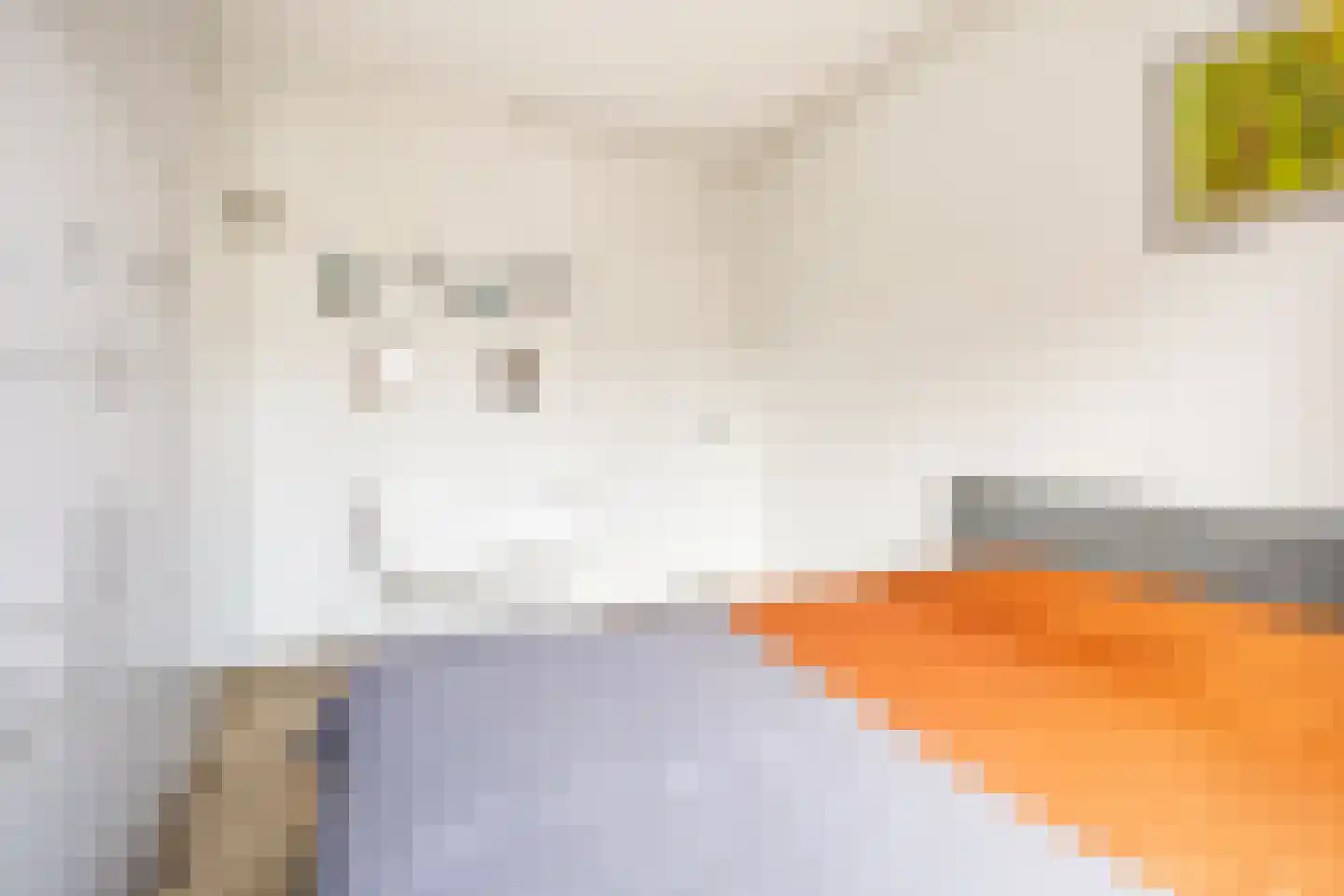 Commelinstraat 358 Amsterdam thumbnail 21