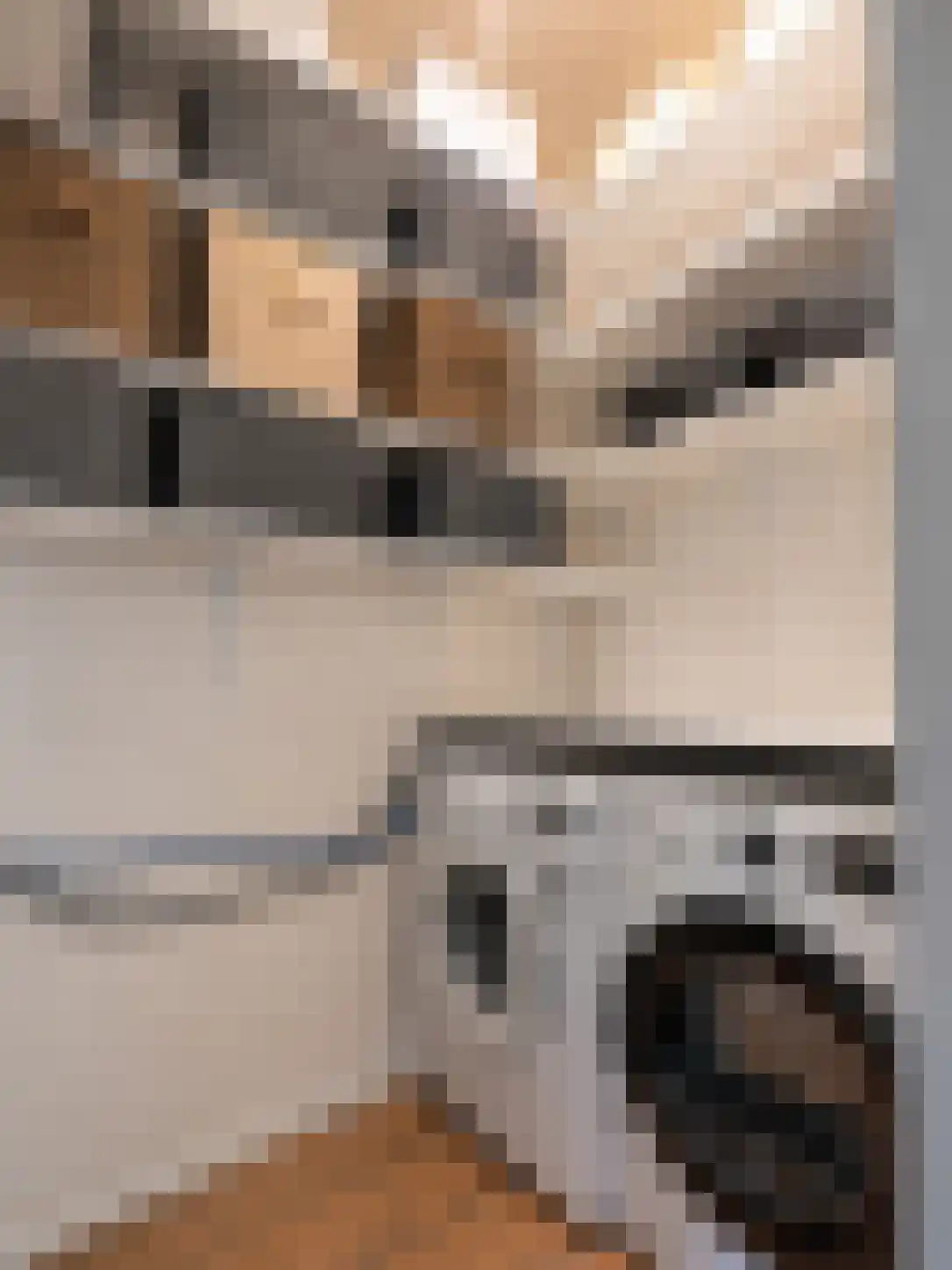 Commelinstraat 358 Amsterdam thumbnail 26