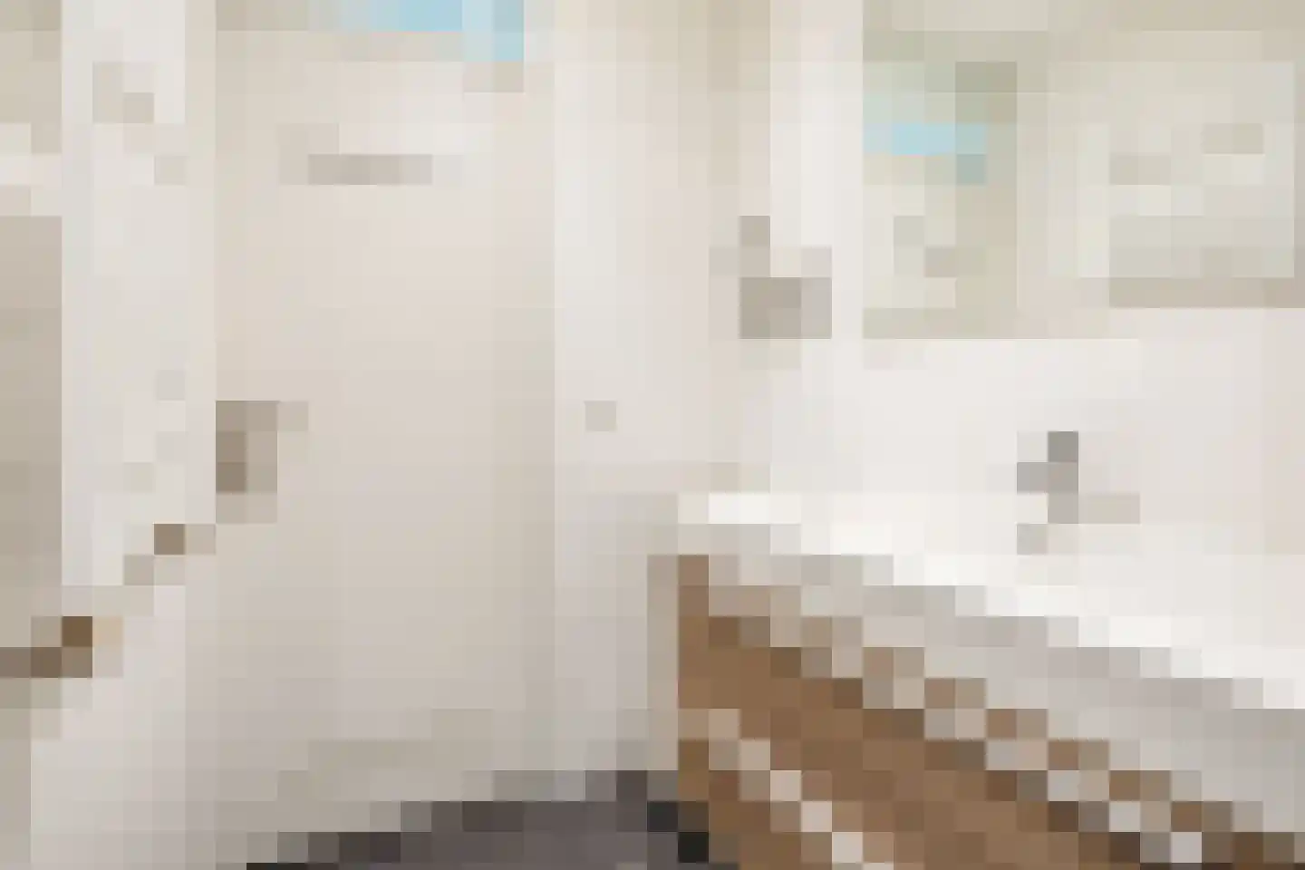 Commelinstraat 358 Amsterdam thumbnail 28