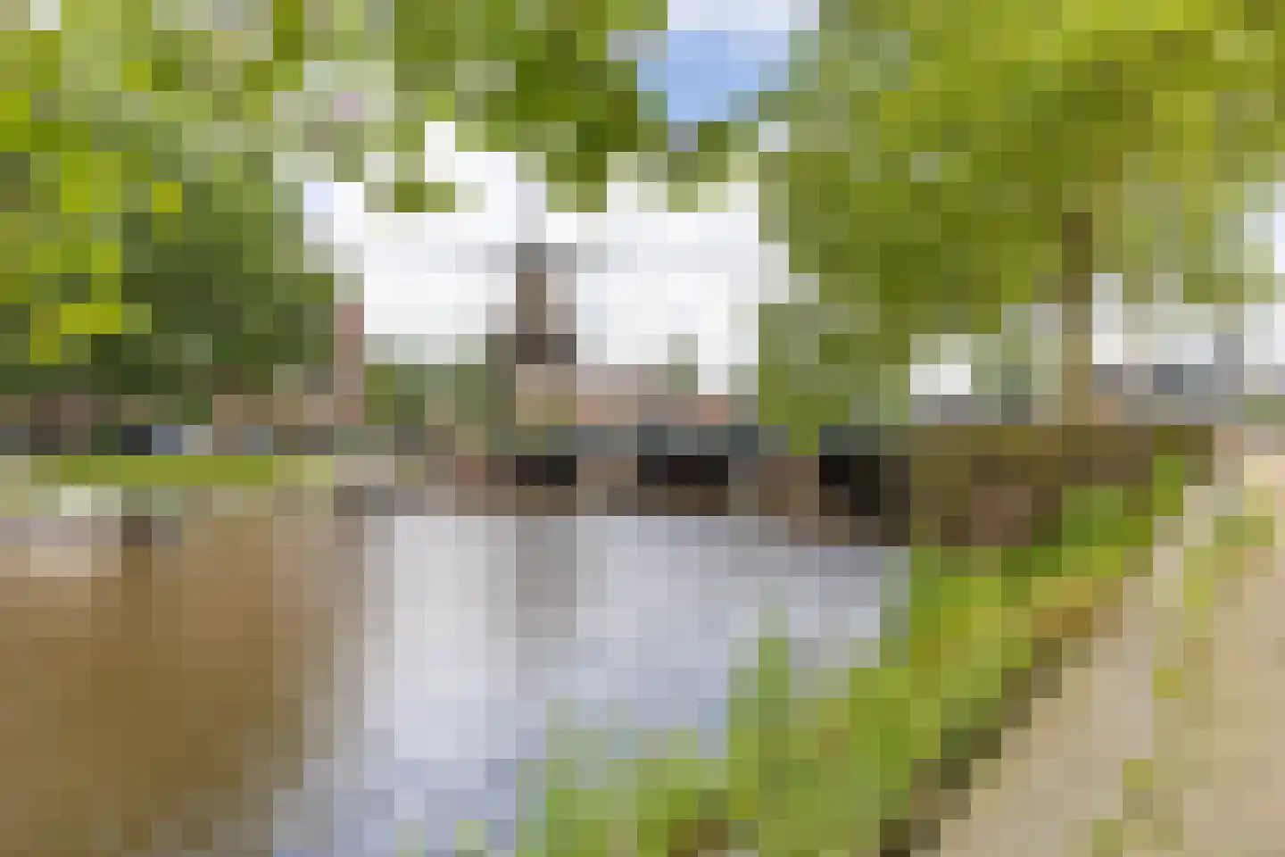 Commelinstraat 358 Amsterdam thumbnail 36