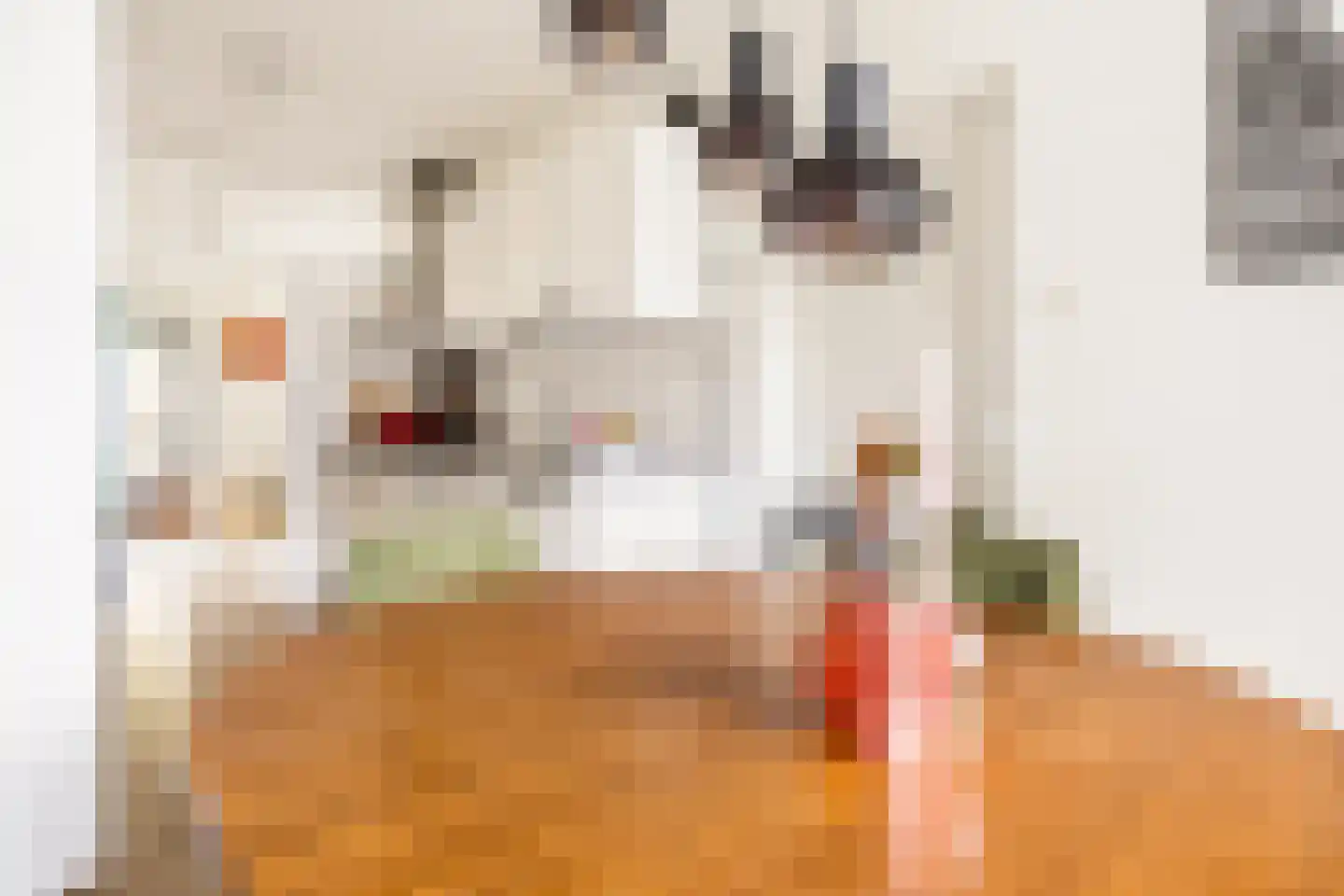 Commelinstraat 358 Amsterdam thumbnail 4