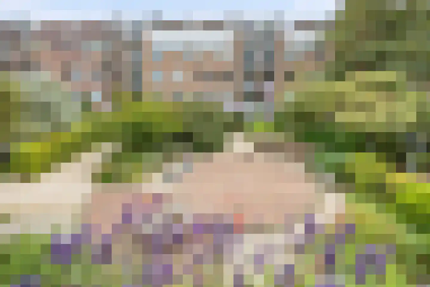 Commelinstraat 358 Amsterdam thumbnail 7
