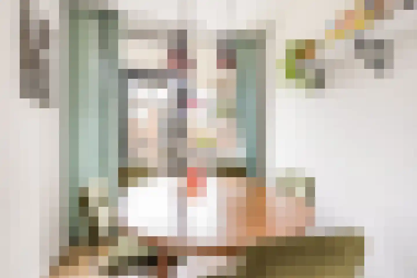 Commelinstraat 358 Amsterdam thumbnail 9