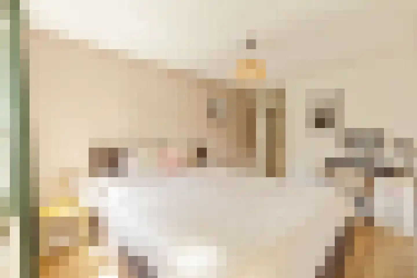 Commelinstraat 378 Amsterdam thumbnail 17