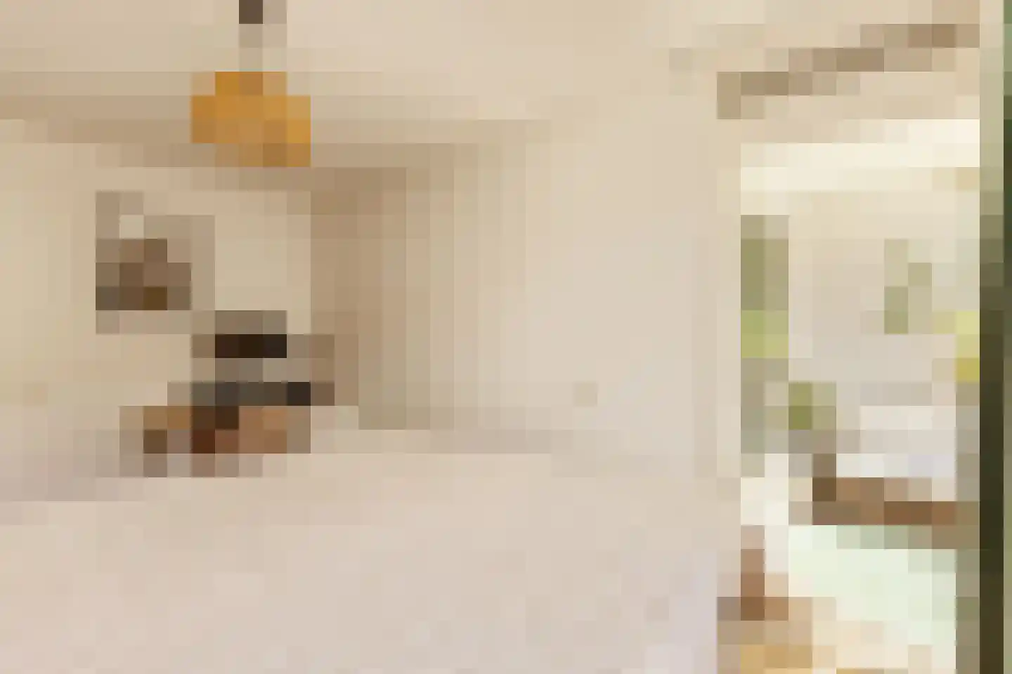 Commelinstraat 378 Amsterdam thumbnail 18