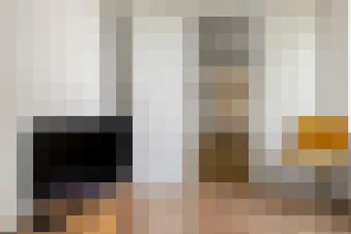 Commelinstraat 442 Amsterdam thumbnail 15