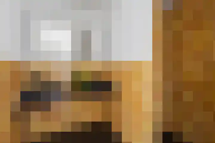 Commelinstraat 442 Amsterdam thumbnail 20