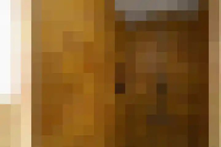 Commelinstraat 442 Amsterdam thumbnail 21