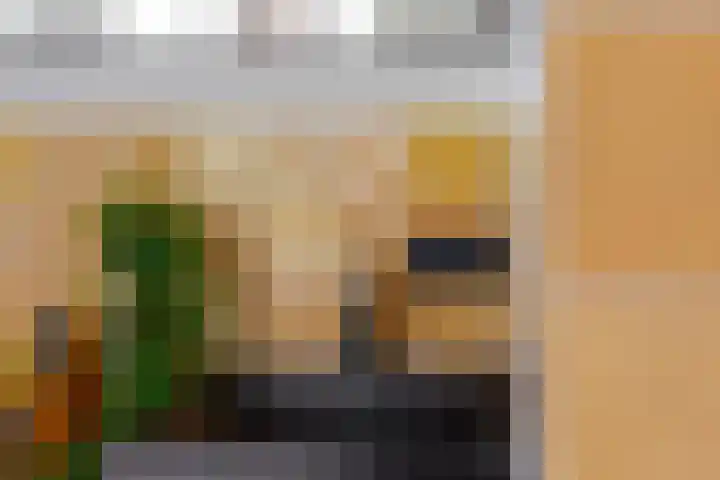 Commelinstraat 442 Amsterdam thumbnail 22