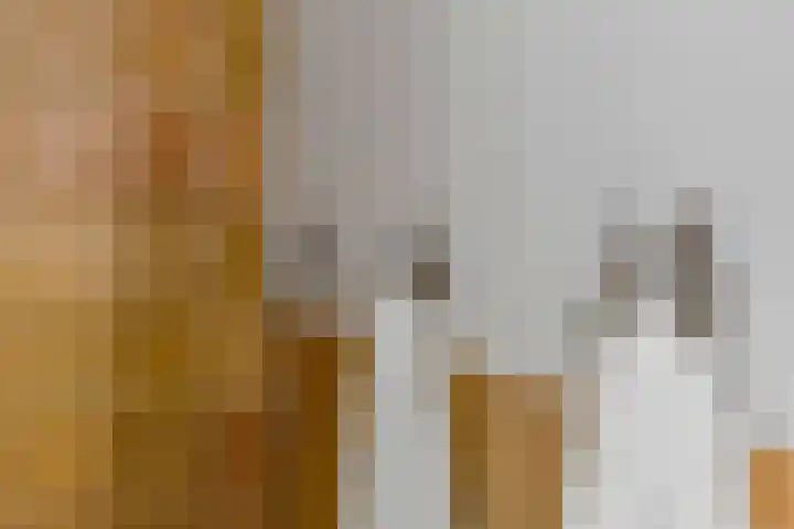 Commelinstraat 442 Amsterdam thumbnail 23