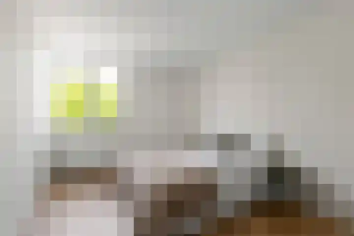 Commelinstraat 442 Amsterdam thumbnail 24