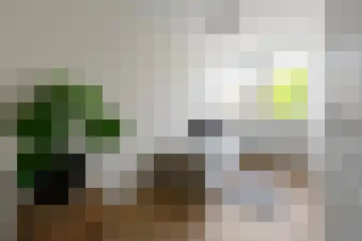 Commelinstraat 442 Amsterdam thumbnail 26