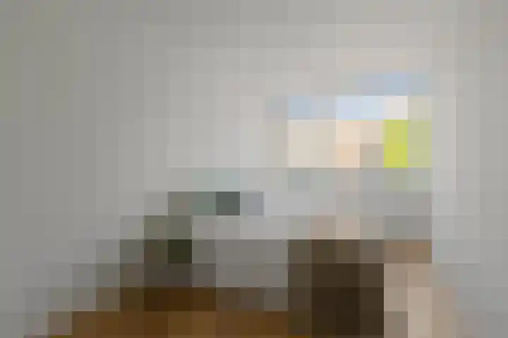 Commelinstraat 442 Amsterdam thumbnail 27