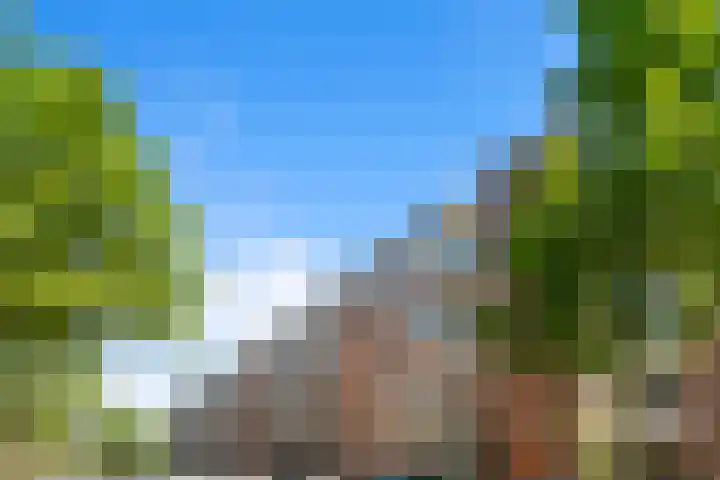 Commelinstraat 442 Amsterdam thumbnail 31