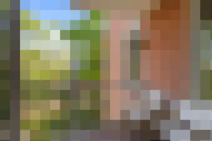 Commelinstraat 442 Amsterdam thumbnail 4