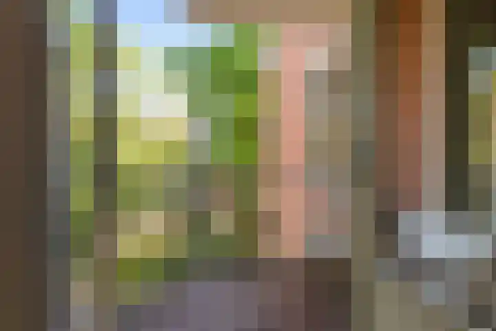 Commelinstraat 442 Amsterdam thumbnail 8