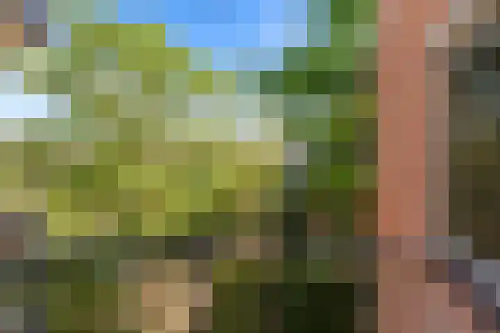 Commelinstraat 442 Amsterdam thumbnail 9