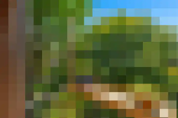 Commelinstraat 444 Amsterdam thumbnail 13