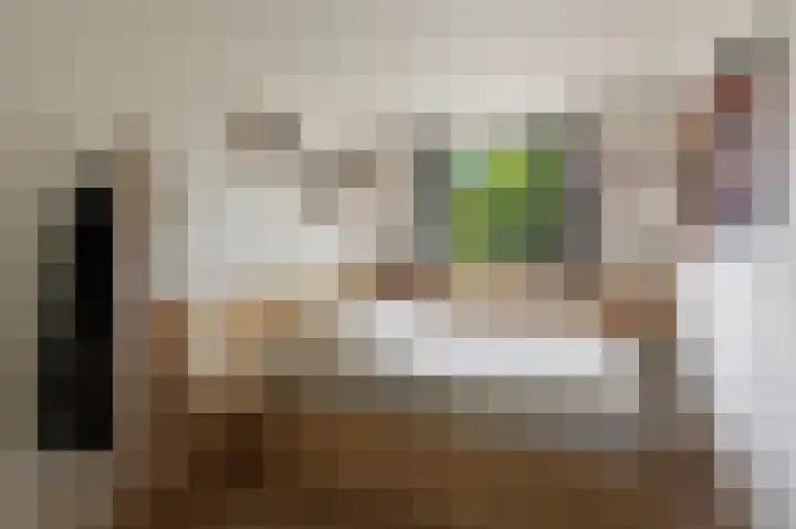 Commelinstraat 444 Amsterdam thumbnail 14