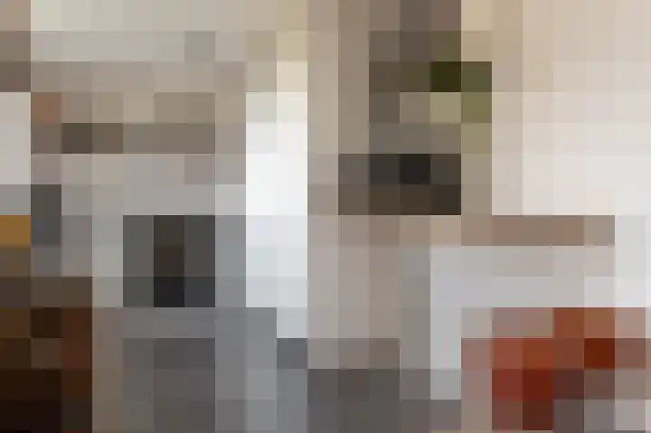 Commelinstraat 444 Amsterdam thumbnail 6