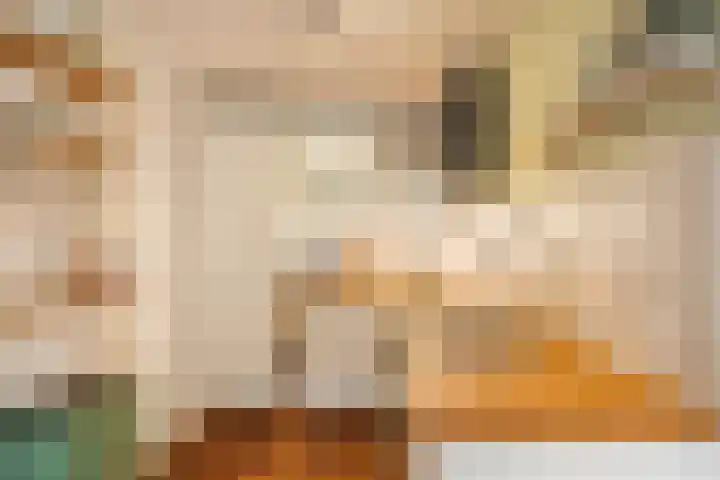 Commelinstraat 452 Amsterdam thumbnail 13