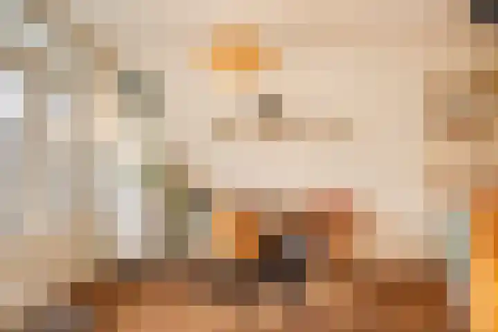 Commelinstraat 452 Amsterdam thumbnail 15