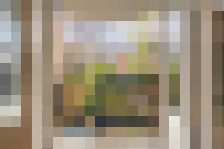 Commelinstraat 452 Amsterdam thumbnail 17