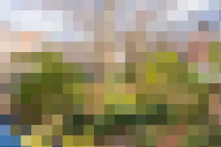Commelinstraat 452 Amsterdam thumbnail 18