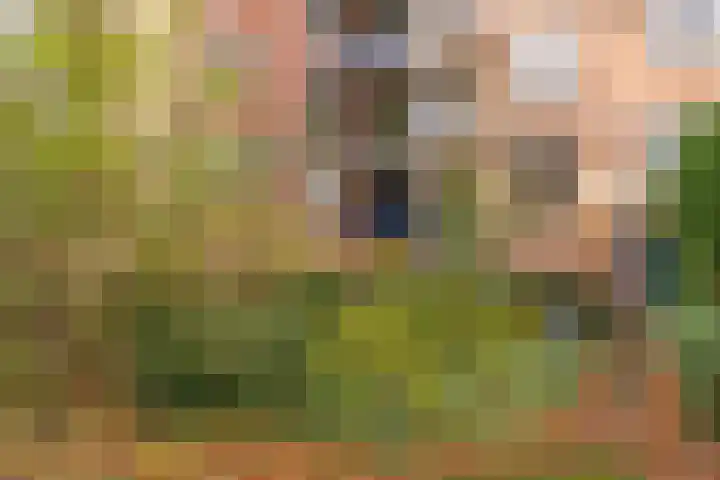Commelinstraat 452 Amsterdam thumbnail 20