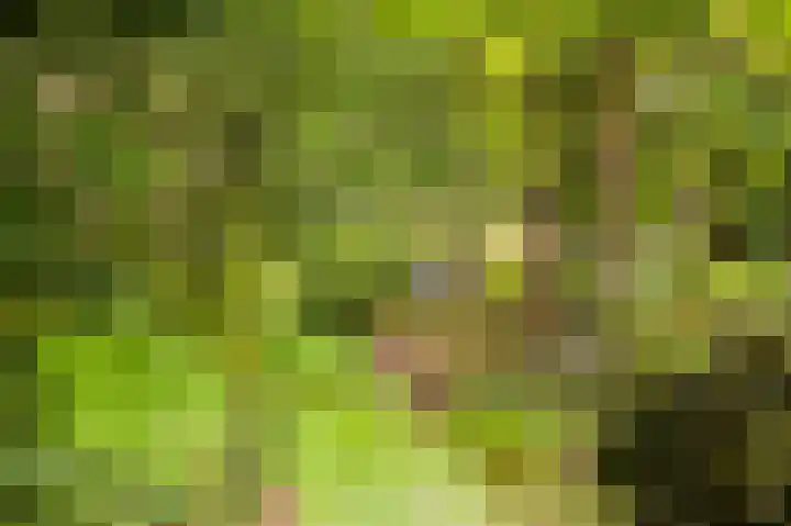 Commelinstraat 452 Amsterdam thumbnail 21