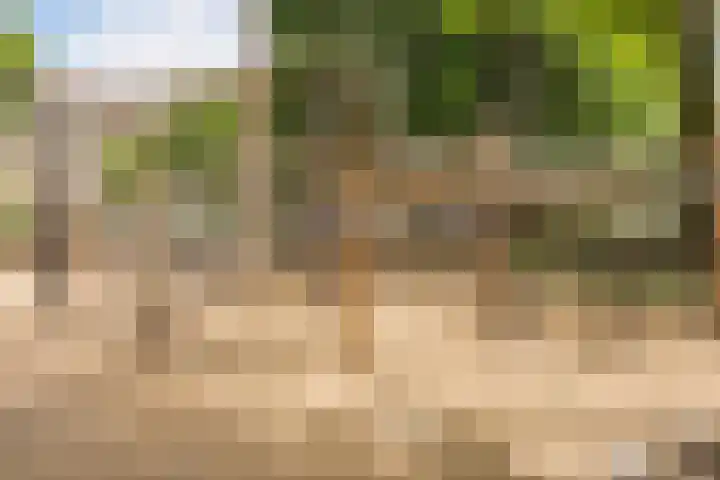 Commelinstraat 452 Amsterdam thumbnail 23