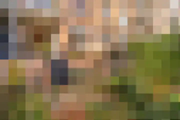 Commelinstraat 452 Amsterdam thumbnail 24