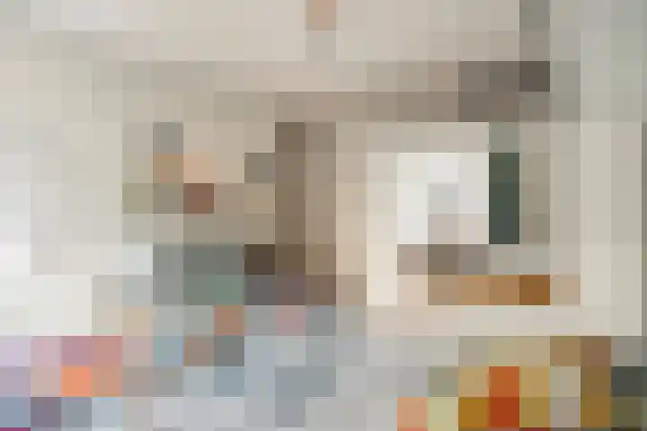 Commelinstraat 452 Amsterdam thumbnail 27