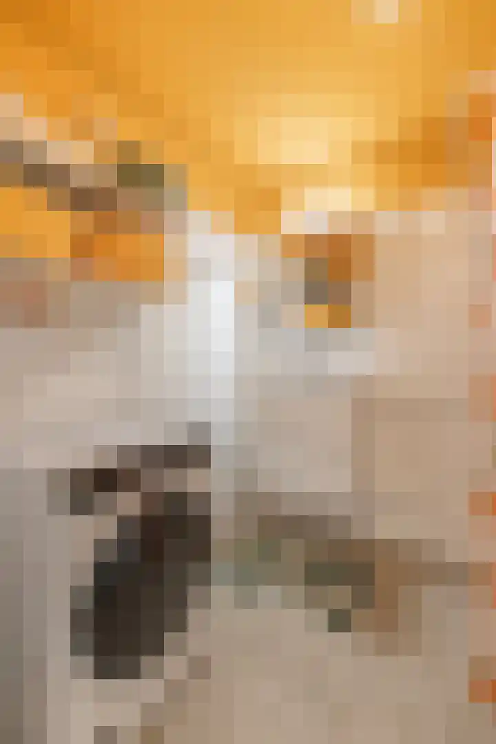 Commelinstraat 452 Amsterdam thumbnail 29