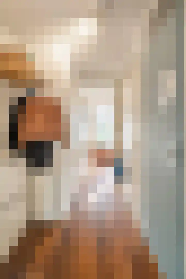 Commelinstraat 452 Amsterdam thumbnail 7