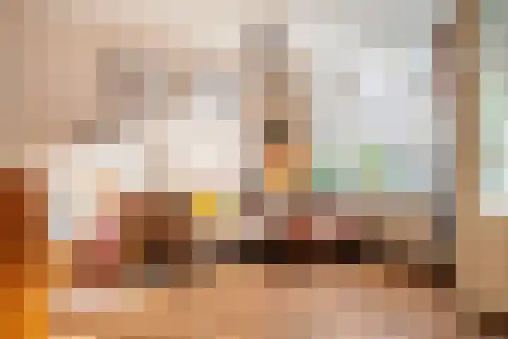 Commelinstraat 452 Amsterdam thumbnail 9