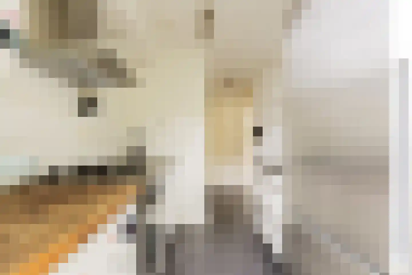 Commelinstraat 47 1 Amsterdam thumbnail 15