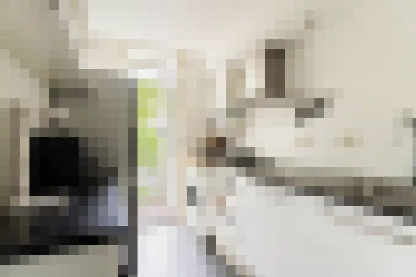 Commelinstraat 47 1 Amsterdam thumbnail 17