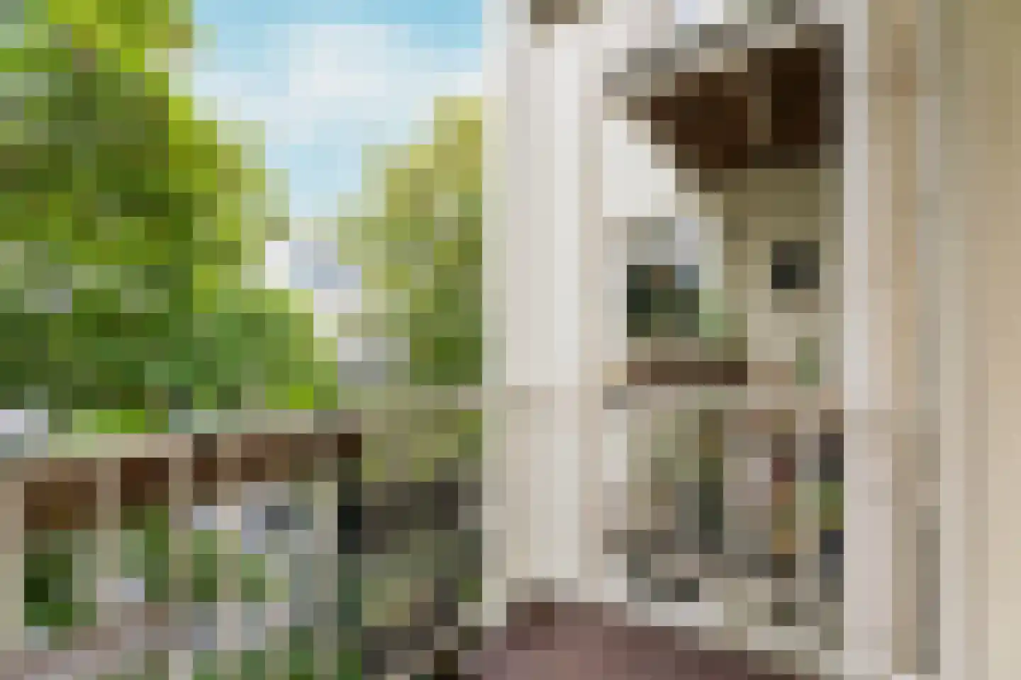 Commelinstraat 47 1 Amsterdam thumbnail 24