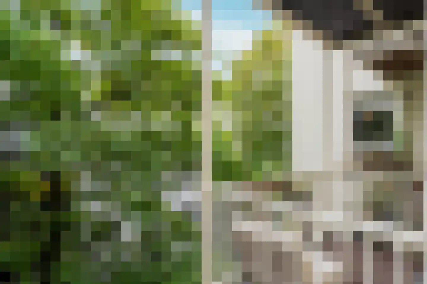 Commelinstraat 47 1 Amsterdam thumbnail 25