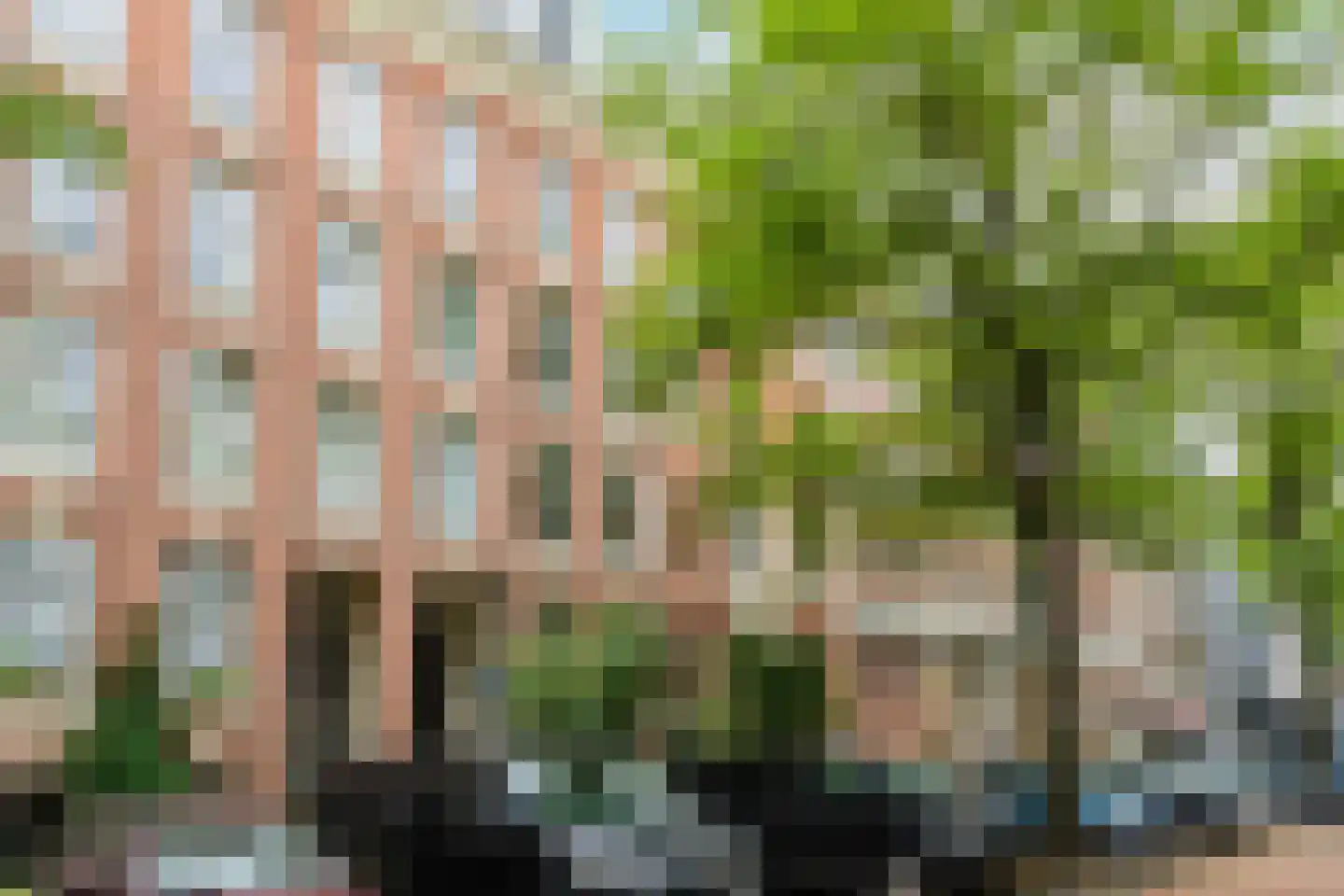 Commelinstraat 47 1 Amsterdam thumbnail 29