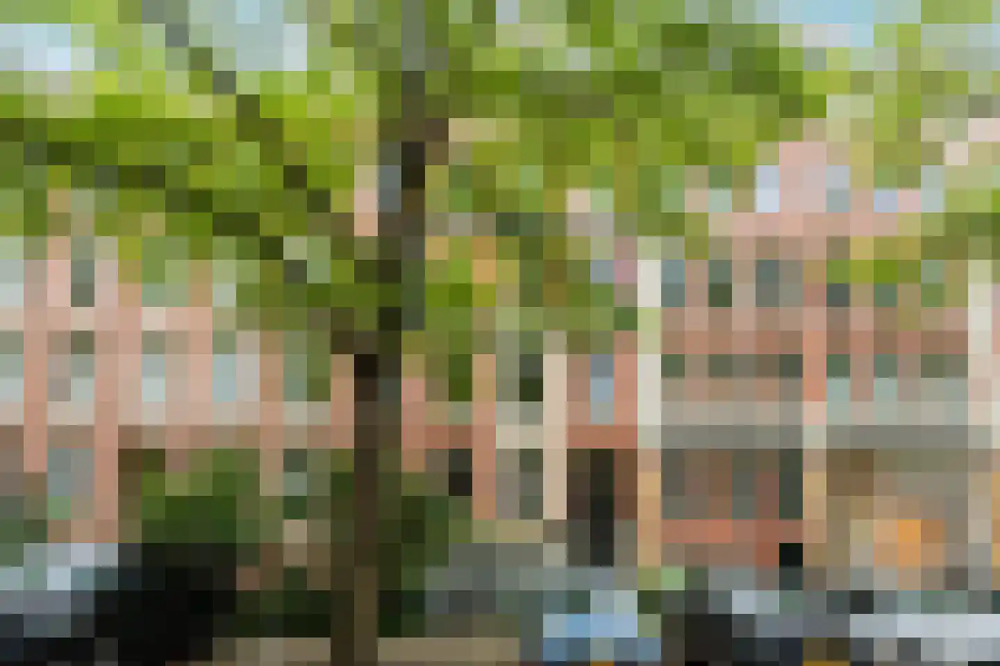 Commelinstraat 47 O Amsterdam thumbnail 28