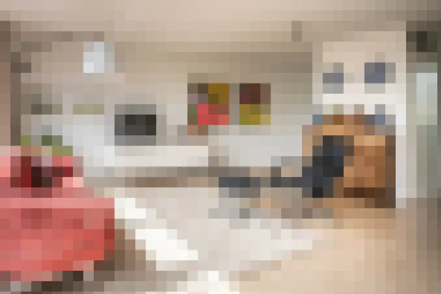 Commelinstraat 48 Amsterdam thumbnail 13