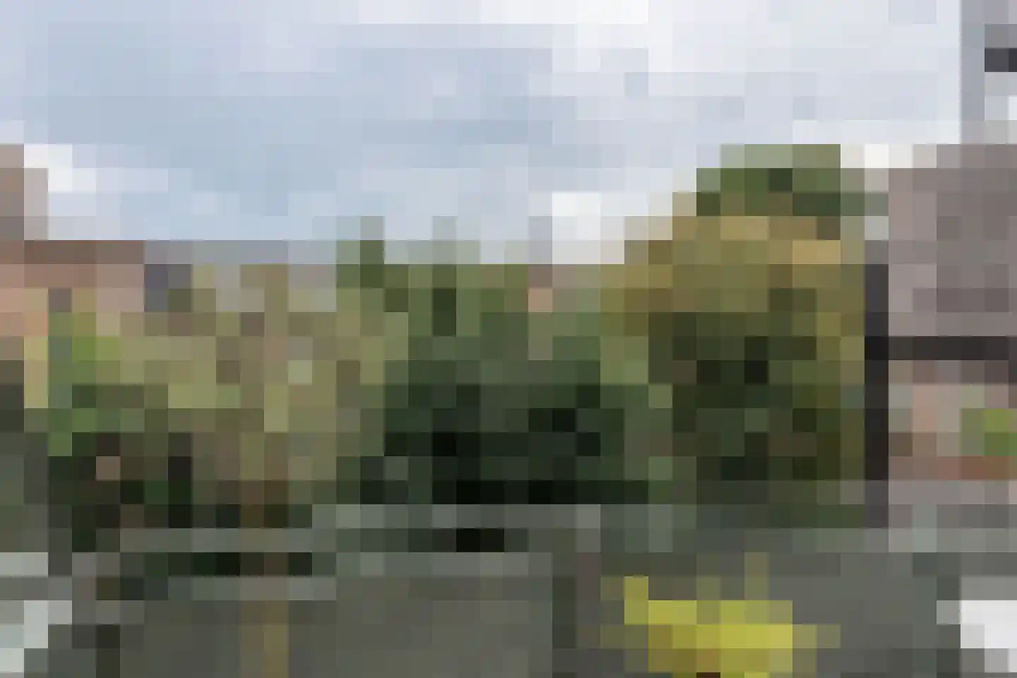 Commelinstraat 48 Amsterdam thumbnail 21
