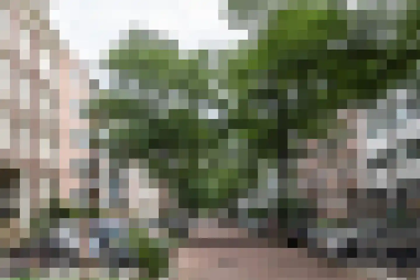 Commelinstraat 48 Amsterdam thumbnail 25
