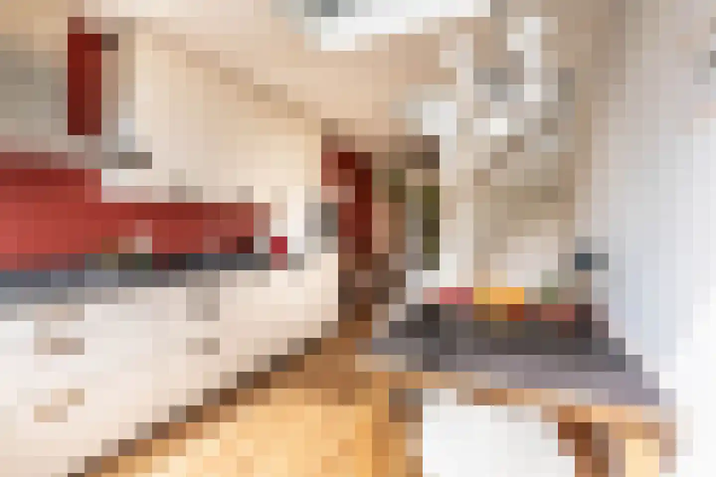 Commelinstraat 48 Amsterdam thumbnail 5