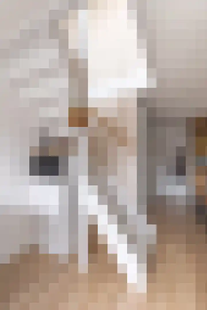 Commelinstraat 50 Amsterdam thumbnail 10
