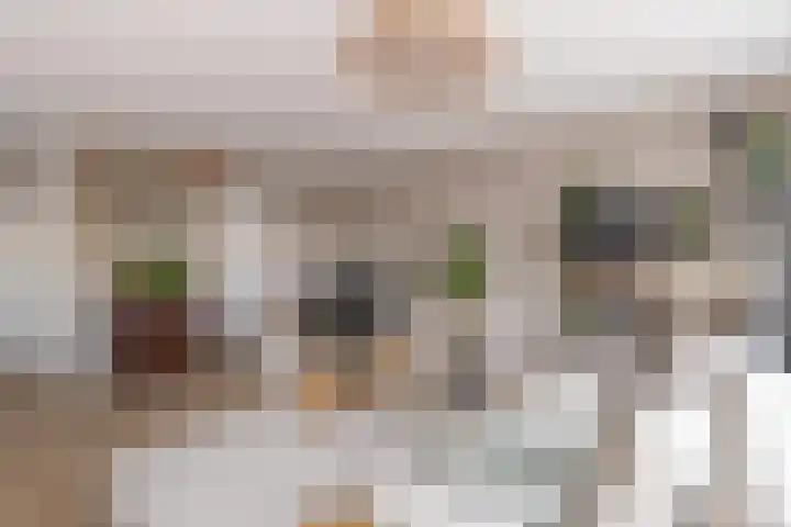Commelinstraat 50 Amsterdam thumbnail 12