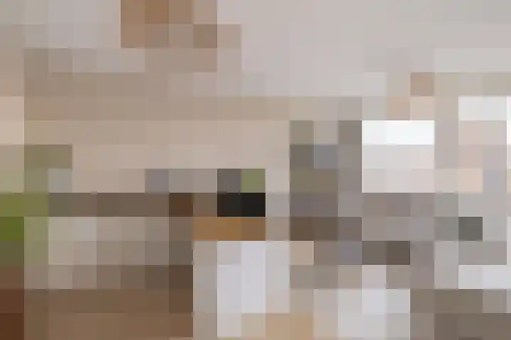 Commelinstraat 50 Amsterdam thumbnail 13